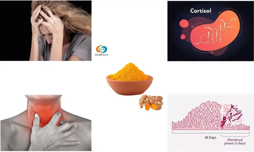 How does turmeric powder affect female hormones?